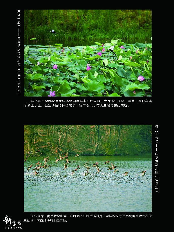 95绿水湾湿地公园 96南京黄马公园