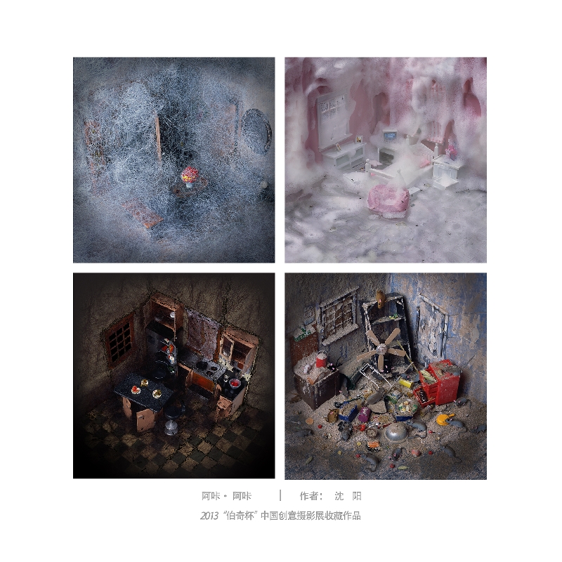 098-阿咔。阿咔1-2013“伯奇杯”中国创意摄影展收藏作品-沈阳