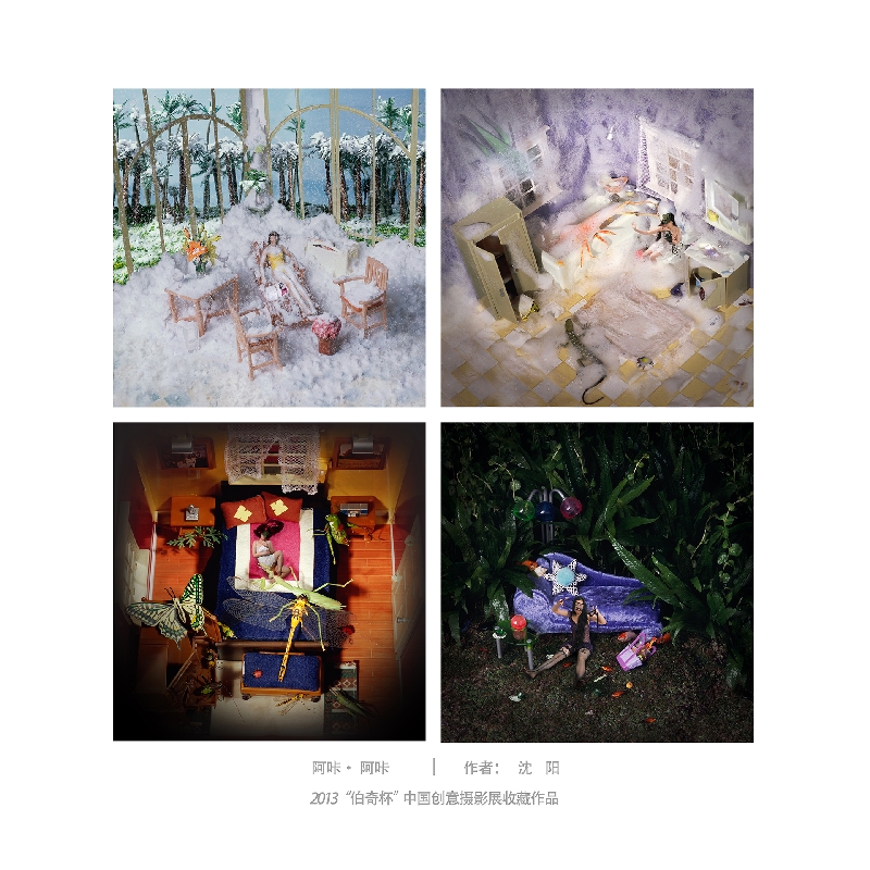 099-阿咔。阿咔2-2013“伯奇杯”中国创意摄影展收藏作品-沈阳